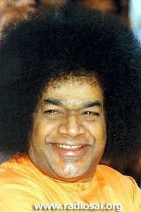 sai-look