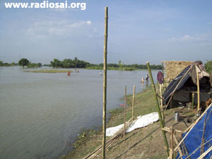 Sai Seva Bogodohovo